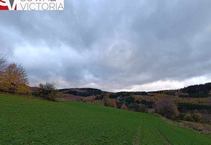 Działka z widokiem na trójgarb  7 km od wałbrzycha