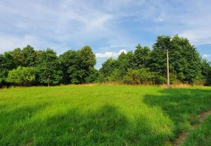 Działka z wejściem do kampinowskiego parku narodow