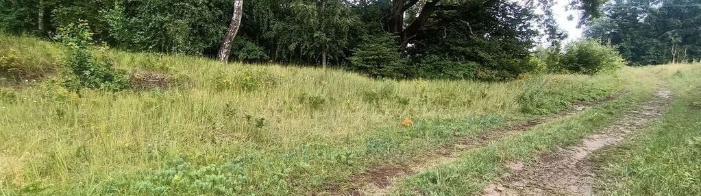 Działka w gminie lubiszyn-kierunek szczecin!