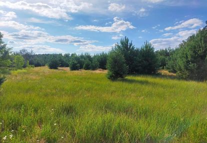 Uzyskane warunki zabudowy na farmę fotowoltaiczną
