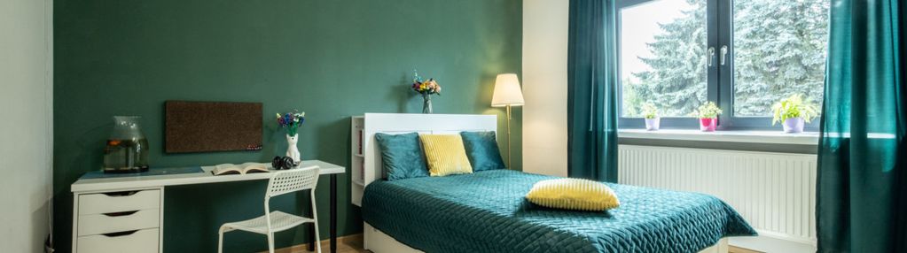 Duży dom -  600m od ścisłego centrum łasku