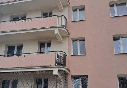 ładny rozkład,