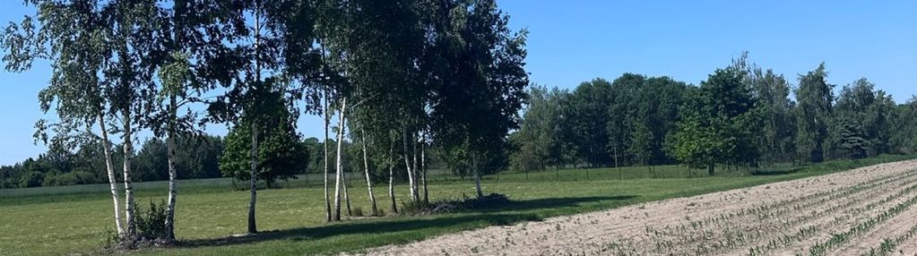 Mazowieckie działki budowlane