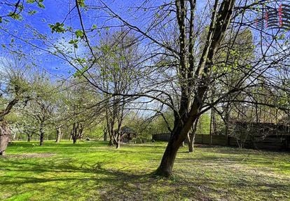 Klimatyczne miejsce w kazimierzu dolnym nad wisłą