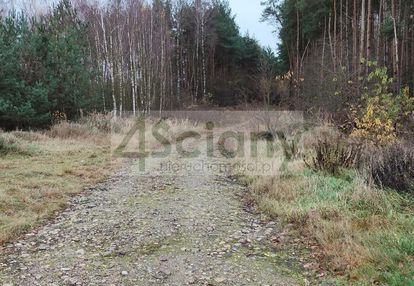 Duża działka w lesie - gmina puszcza mariańska