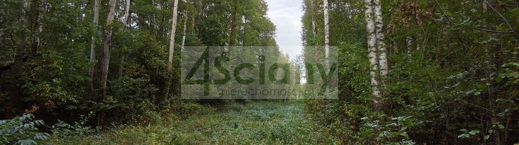 Działka budowlana (mn) 4511 m² | wycinki osowskie