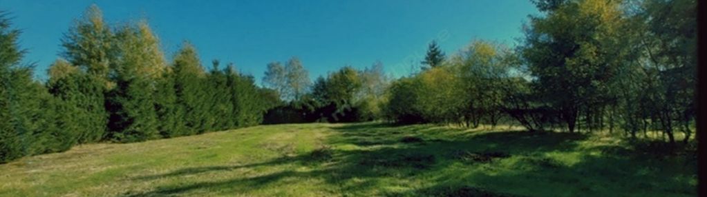 Szybka sprzedaż ponad 1 ha 4 działki łącznie