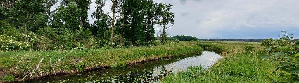 Malownicze działki nad brzegiem rzeki-zielona góra