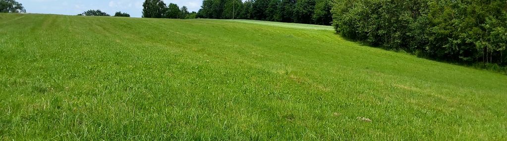 Działa Złota Zainwestuj w spokój, naturę i widoki