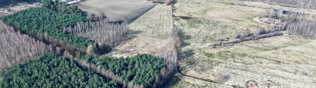 Działka przy lesie z warunkami zabudowy