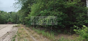 Działka w wólce w lesie, 600 metrów od puszczy