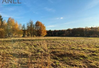 Działka budowlana przy lesie- ul. młyńska