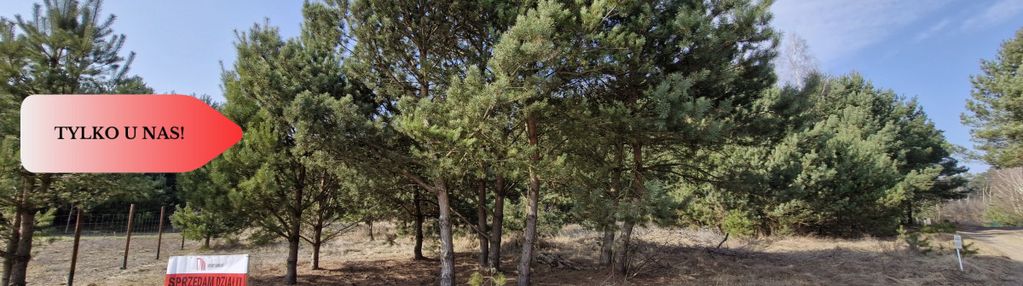 Bory tucholskie – działka 1195 mkw pod budowę domu