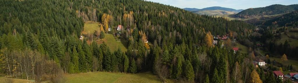 Działka rolno-budowlana porębie wielkiej