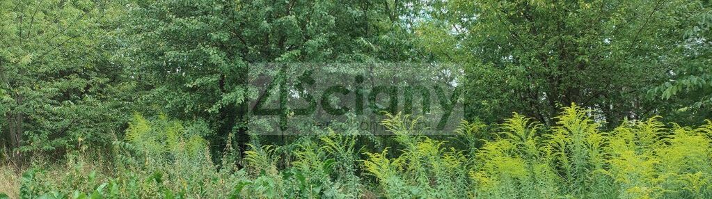 Działka prawie w lesie młochowskim