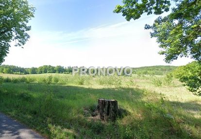 Działka rolna 19 ha koło węgorzyna