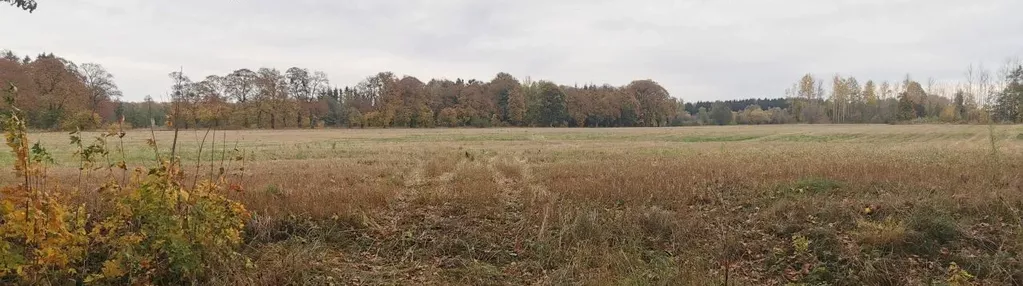 Działka na sprzedaż 9300m2