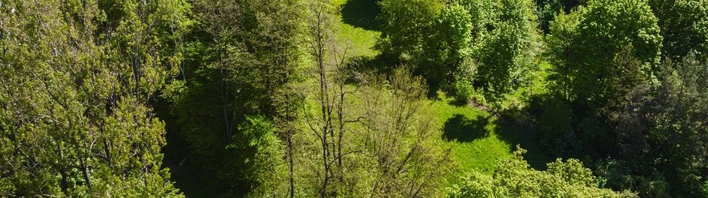 Bolechowice ul. winnica 2300 m2 - działka widokowa