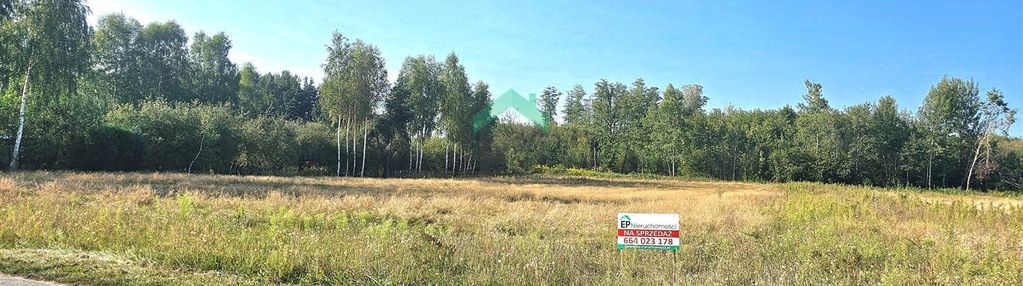 Działka w otoczeniu lasów