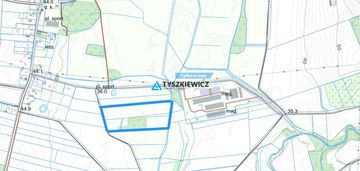 Nieruchomość gruntowa z lasem i własnym źródełkiem