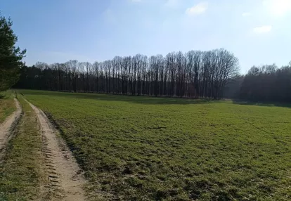 Działka na sprzedaż 176m2