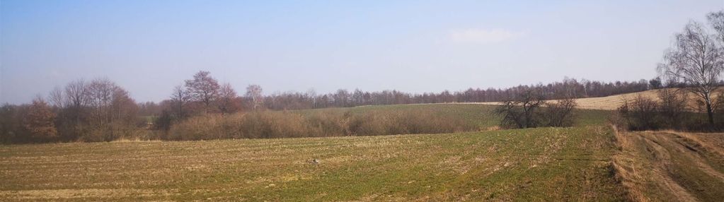 Działka rolna, gmina sicienko