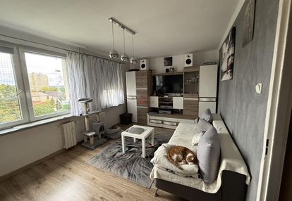 Na sprzedaż – 2-pokojowe mieszkanie 46 m², parter – widok na góry świętokrzyskie