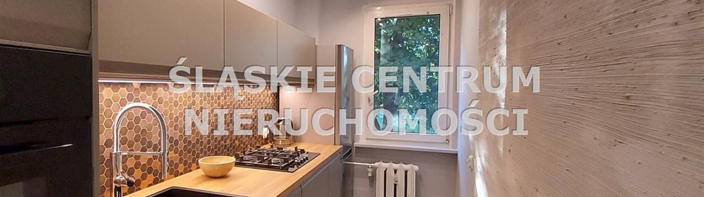Lux apartament z balkonem katowice paderewskiego