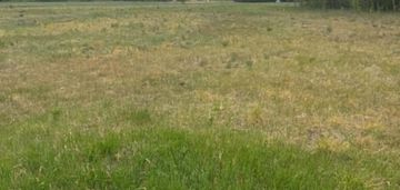 Działka 1661 m² z wz – dom jed. maciejowice