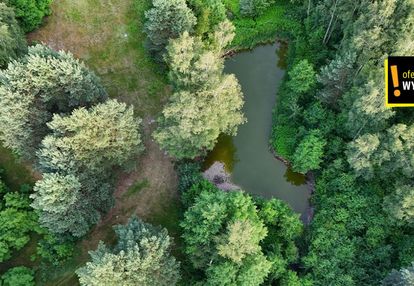 Działka ze stawem i lasem koło solca zdroju