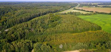 Działka (1,5763 ha)