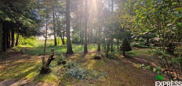 Działka i staw w narwiańskim parku narodowym