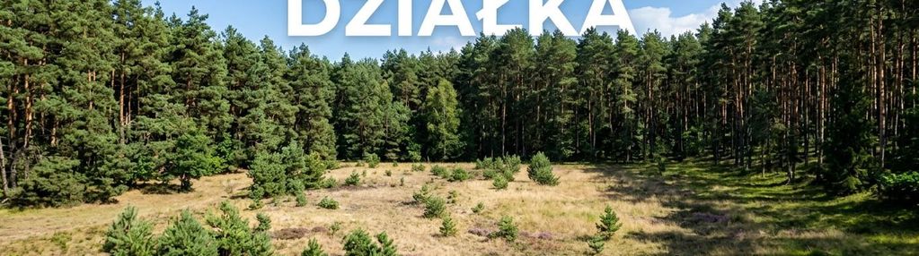 Olbrzymia działka w lesie z prawem zabudowy!