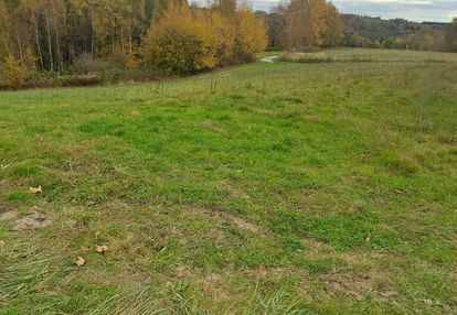 Działka budowlana 36 ar, tuchów okazyjna cena !