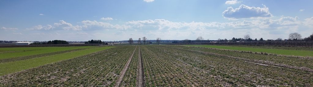 Działka inwestycyjna 0,88ha, produkcja i usługi