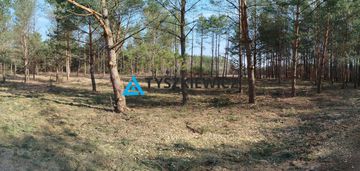 Działka budowlana w sercu lasu z mpzp