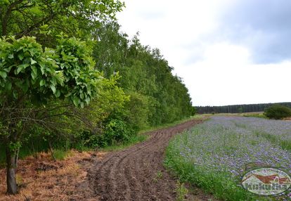 Grunty na sprzedaż w dobrej lokalizacji