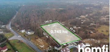 Działka przy jurze | 7456 m² | bugajska