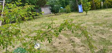 Głogów, kulów, rod, nowa atrakcyjna cena
