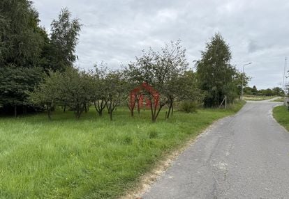 Woliczka 35 ar działa budowlana z własnym lasem