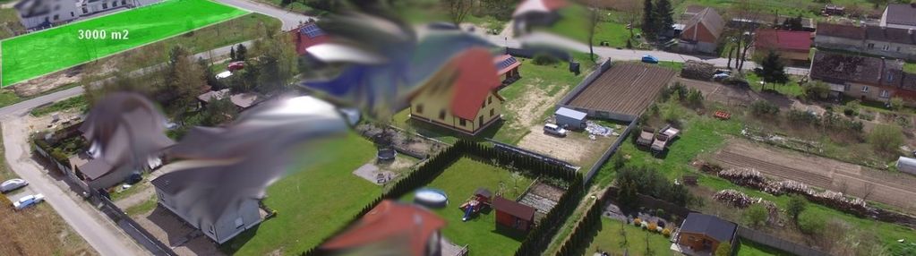 Działka budowlana 3000 m² | oleśniczka |długołęka