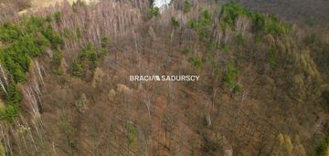 Las w jerzmanowicach