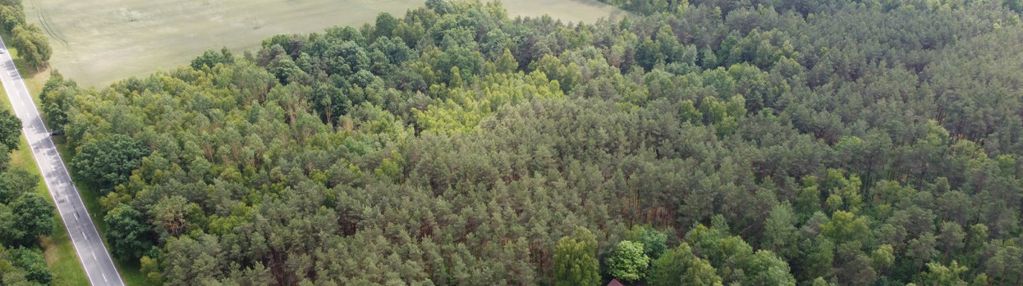 Piękna działka leśna z możliwością zabudowy