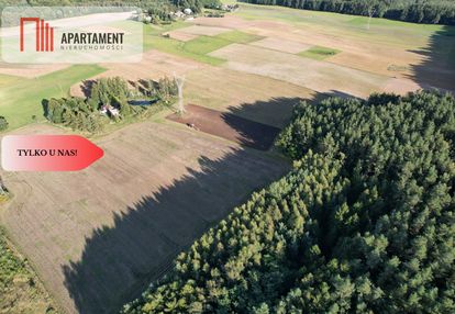 Siedlisko 11,75 ha z prywatnym lasem