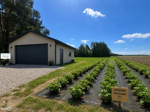 Działka w spokojnej oklicy / okazja