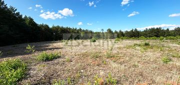 Działka budowlana w otulinie lasu