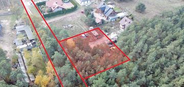 Działka ze ścianą lasu