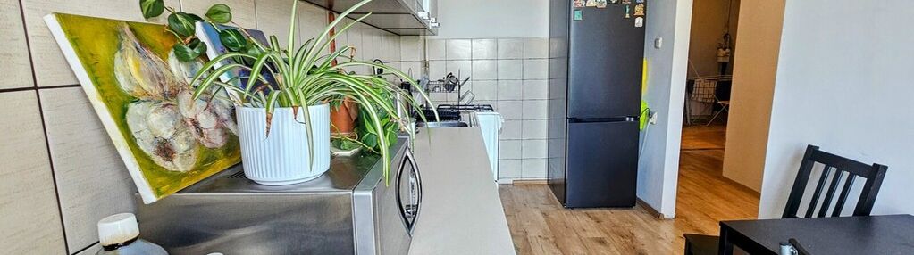 Wrocław śródmieście nadodrze 2 pokoje rozkład