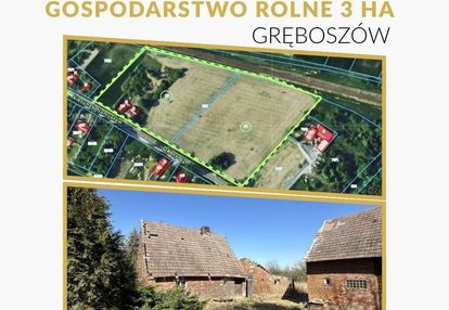 Dom z polem o łącznej powierzchni ponad 3 ha.