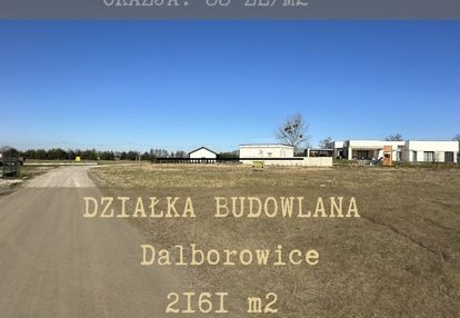 Działka w dalborowicach-55zł/m2